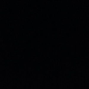 Meet your Posher, Bailey